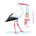 Stork carrying baby isolated on white