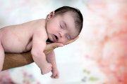 DSC01428.jpg