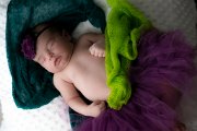 DSC01480.jpg