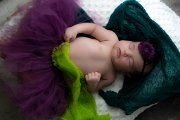 DSC01482.jpg