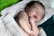 DSC01513.jpg