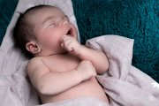 DSC01518.jpg